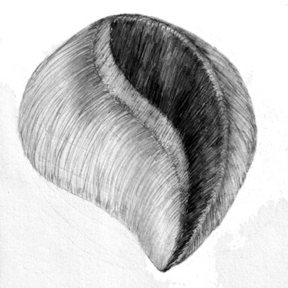 Icon XXXVIII (study)
8" x 8"
pencil on paper
©2011